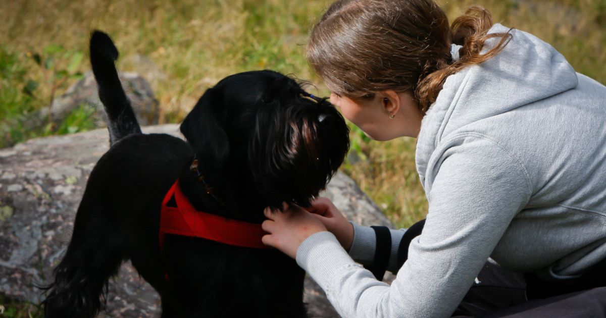 Svart hund tillsammans med sin matte